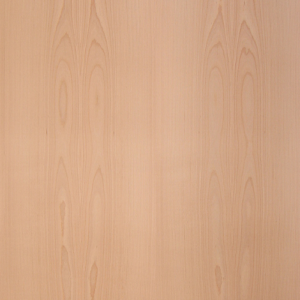 Beech Plywood Particle Core 5/8" 4'x8'